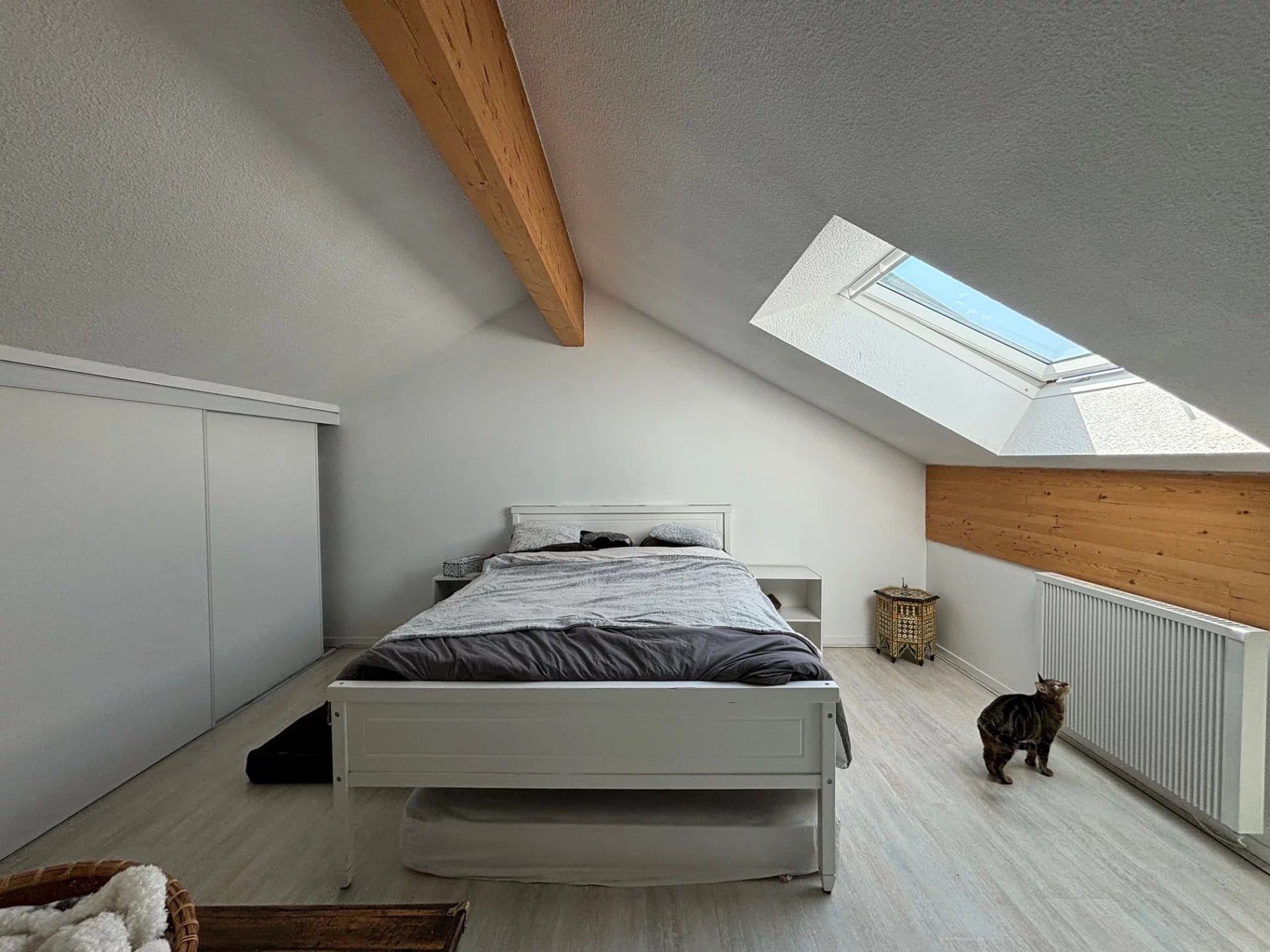 dc299b64dee4a626d39dbfaa11a1ce8e