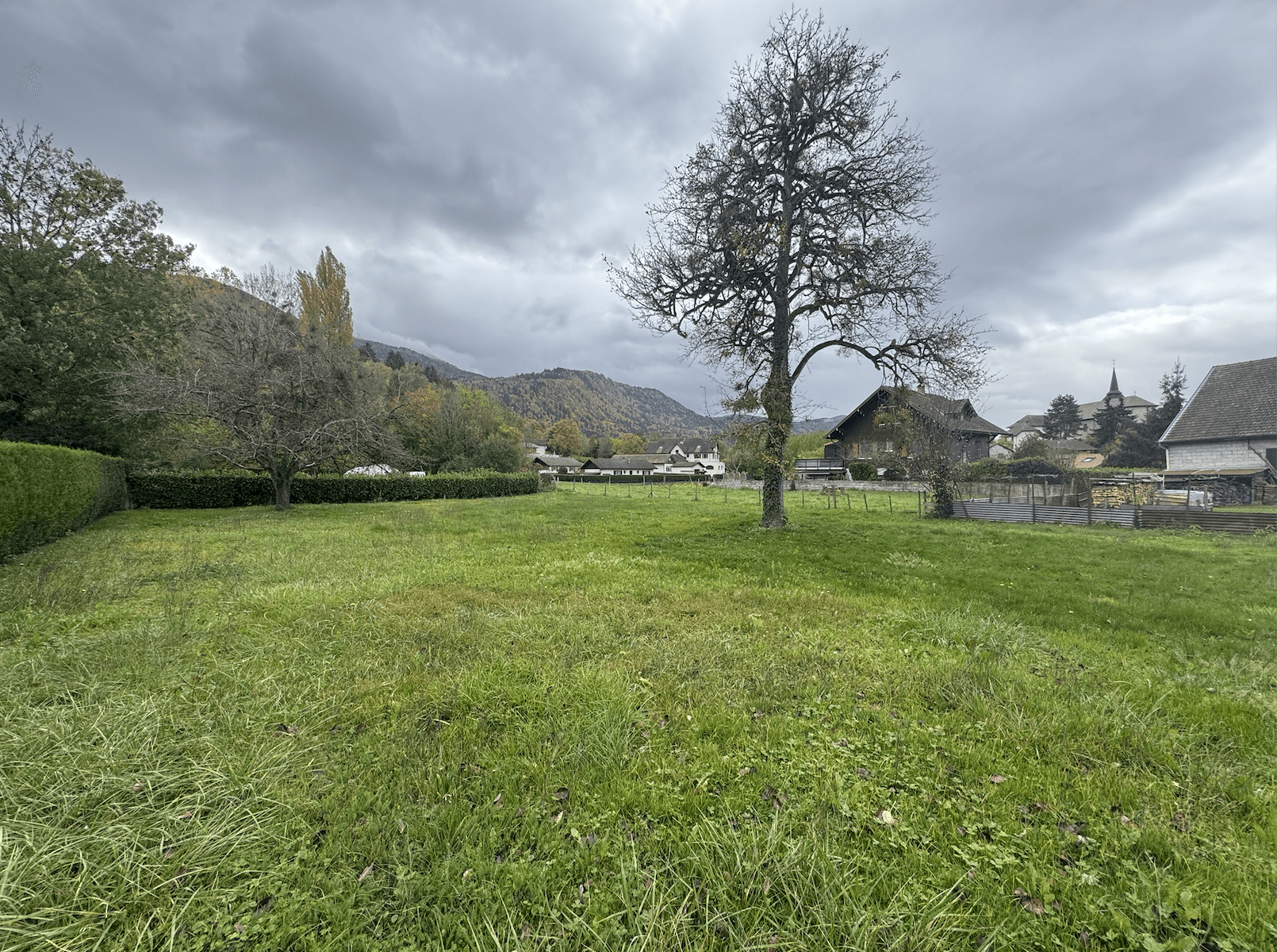 photo_6482bd72f18cfb29449f3d3ace126fb9