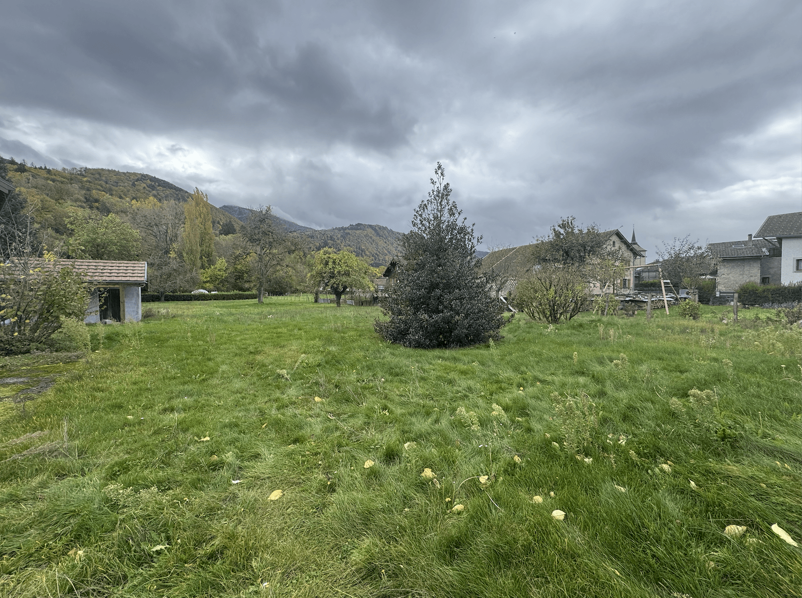 photo_7f01b29a98cd4acc76c3e29ae6f8e05f