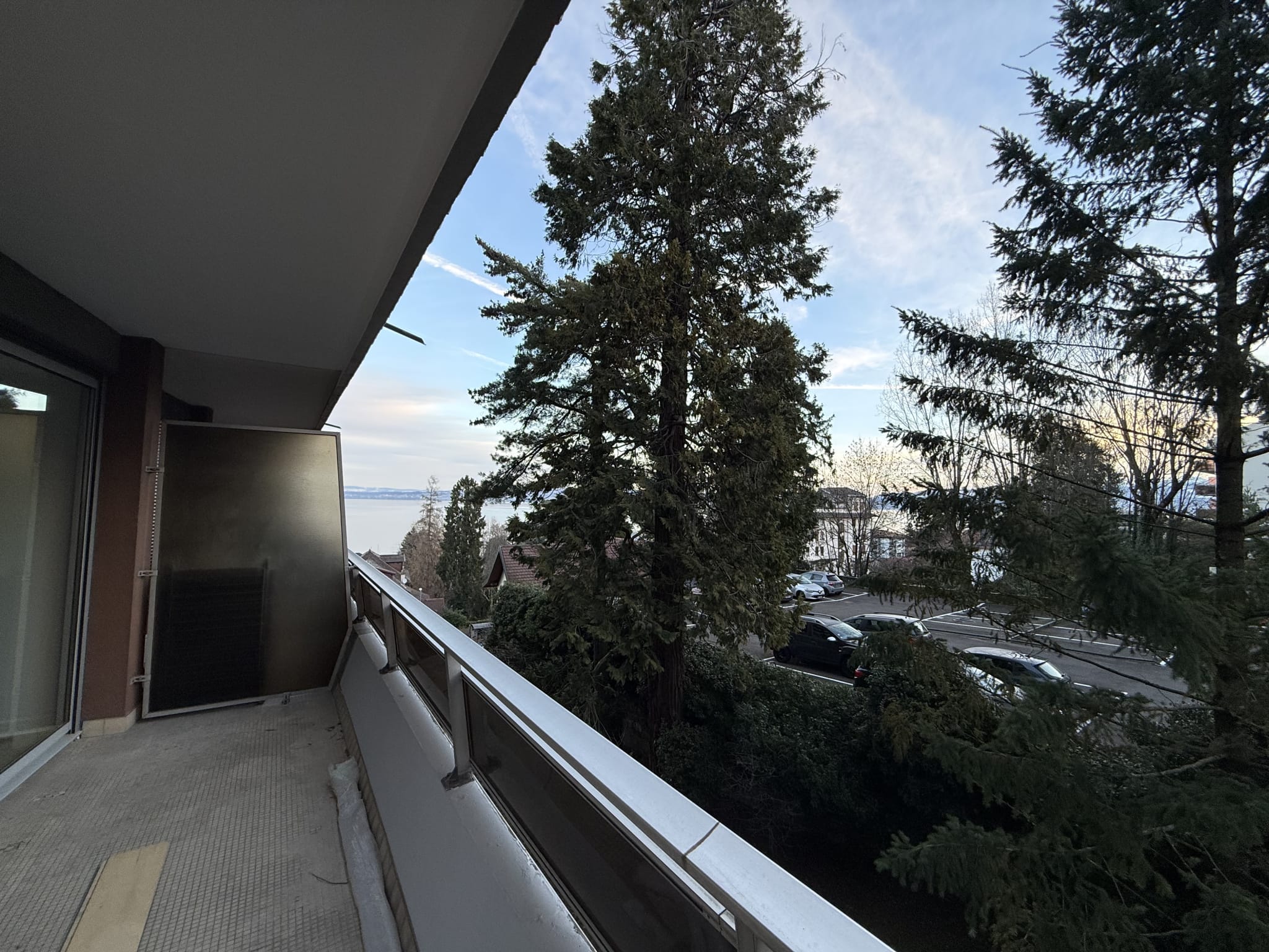 photo_d7273ce1f10cbd0073f584555b587330