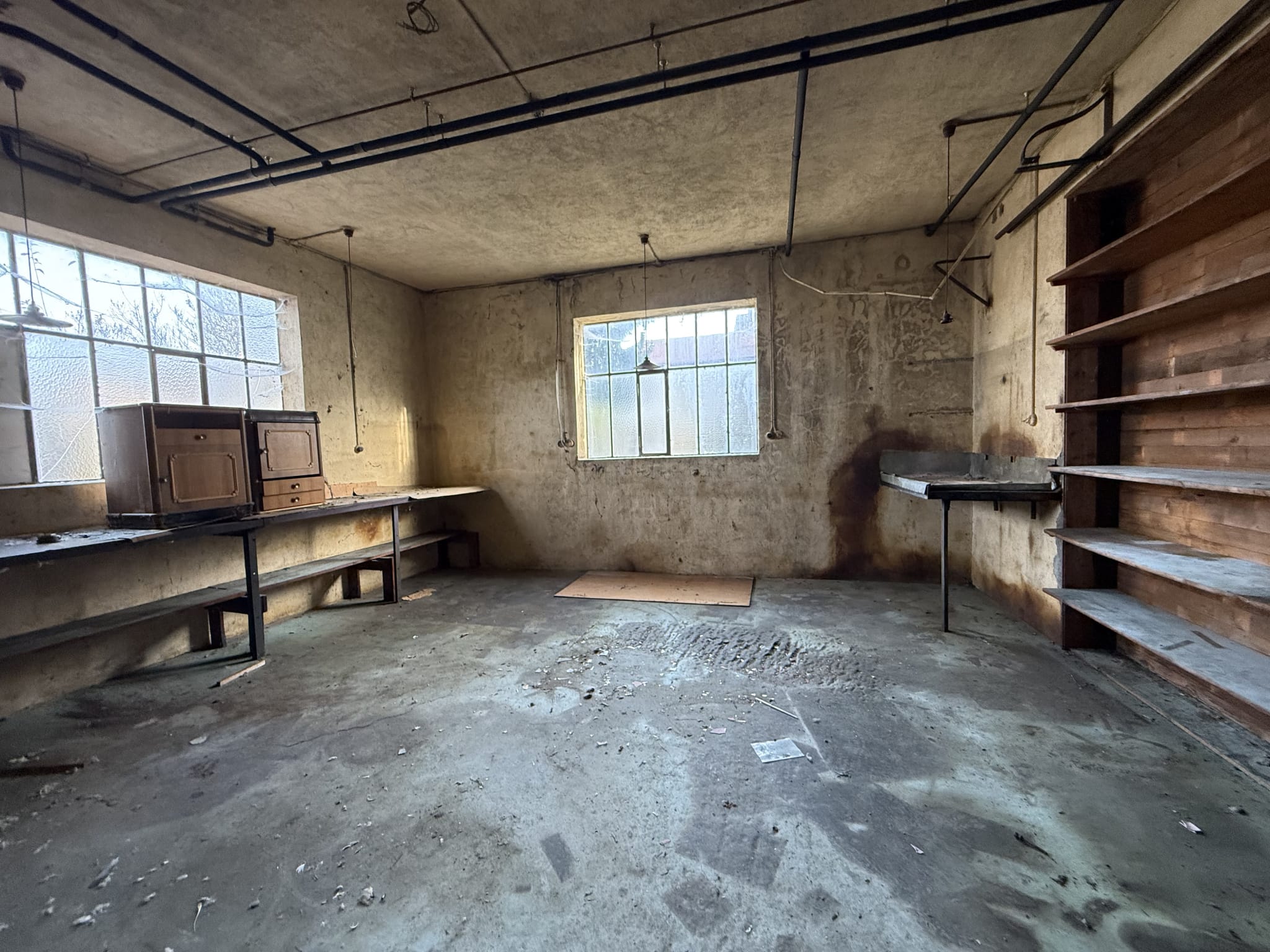 photo_5be17e67fe821d7afec2f18bb352d20e